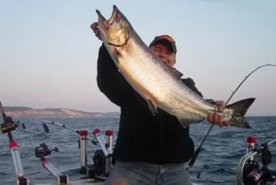 Fish Hunter